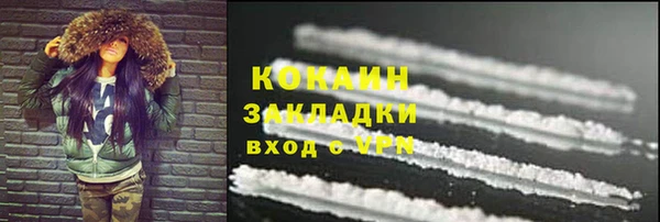 индика Абинск