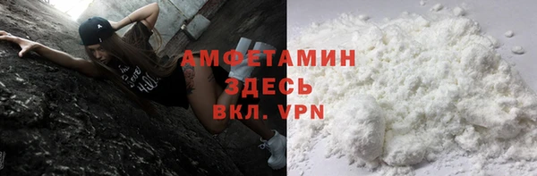 индика Абинск
