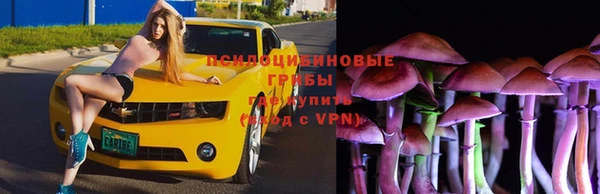 спиды Абдулино