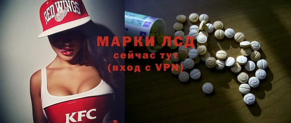 индика Абинск