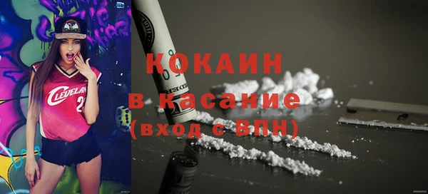 индика Абинск