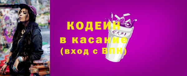 индика Абинск