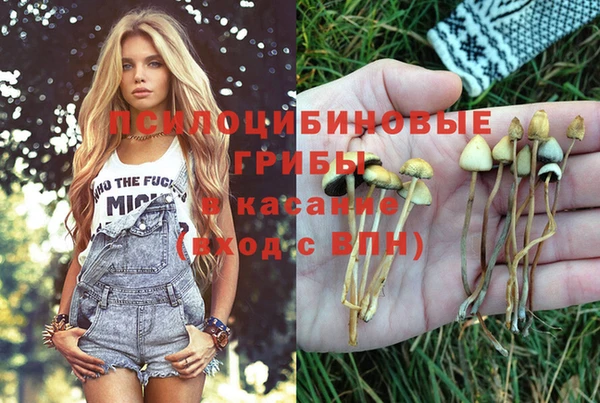 спиды Абдулино