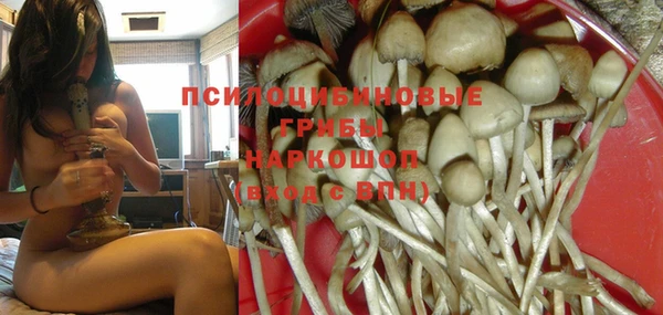 не бодяженный Абаза