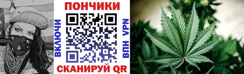 Бошки Шишки индика  hydra ссылка  Шимановск 
